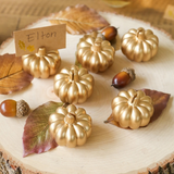 Harvest Gold Pumpkin Place Card Holder Set of 6