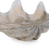 Large Vongole