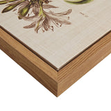 Botanical Linen Canvas Wall Art