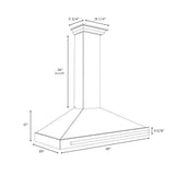ZLINE 48" Autograph Stainless Wall Range Hood KB4SNZ-BLM48-G