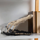Freddy Croc Sculpture- Large