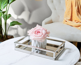 Stainless Steel Rectangular Tubular Serving Tray