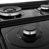 ZLINE 24" Professional Dual Fuel Range, Black Matte door, RA-BLM-24