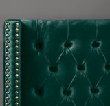 Barolo Luxurious Velvet Wing Bed with Tufted Design and Gold Nailhead Accents for Elegant Bedrooms