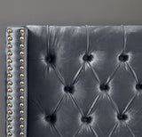 Barolo Luxurious Velvet Wing Bed with Tufted Design and Gold Nailhead Accents for Elegant Bedrooms