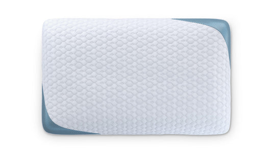 Bear Pillow
