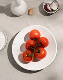 Stoneware Dinner Plate | Dadasi 10.2"