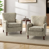 Raimund Armchair(Optional Types)