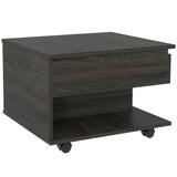TUHOME Riverside 2 Piece Living Room Set, 35"H X 21.6"W X 16.3"D -Espresso
