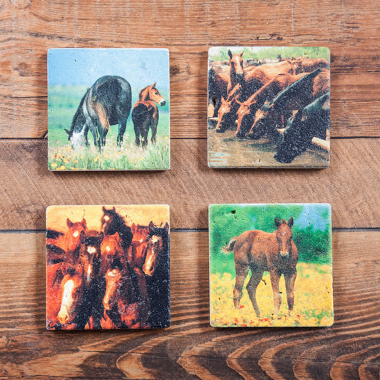 Horses Coaster, Set of 4, 4 MOQ