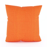 Throw Pillow - 20 x 20 x 4