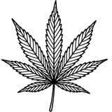 Cannabis Laser Engraved Leaf Green Sleeve