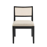 Aram Dining Chairs (Set of 2)