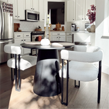 Mia Velvet Dining Chair with Arms (Set of 4)