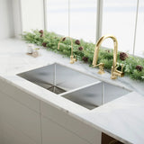 ZLINE Gemini Kitchen Faucet, GEM-KF-PG