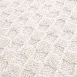 Leryn Ivory Checkered Area Rug