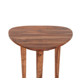 Salem 23" Side Table in Natural Sheesham Wood