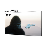 100''-200'' Matte White Screen