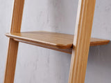 Currant Leaning Bookshelf, Caramelized