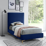 Geri Black Velvet Bed with Chic Piping and Gold & Chrome Legs for a Modern Bedroom Oasis