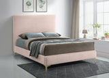 Geri Black Velvet Bed with Piping and Gold & Chrome Legs for a Stylish Contemporary Bedroom Design