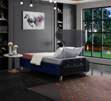 Ghost Acrylic Contemporary Bed with Plush Upholstered Rails, Curved Headboard & Slats Included