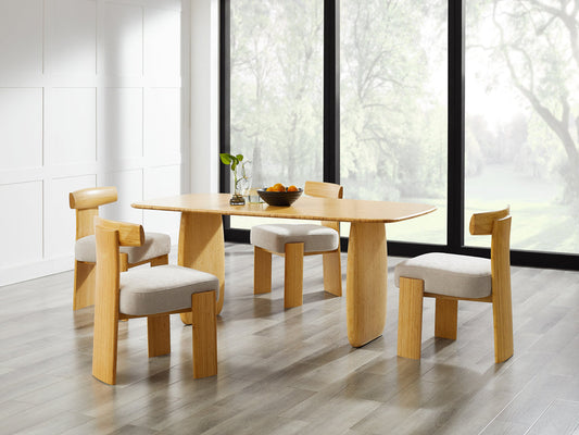 Olly Chair - Boxed Set Of 2