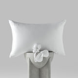 Silk Bundle