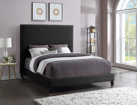 Harlie Velvet Bed - Chic Contemporary Design with Elegant Brass Nailheads & Sophisticated Style