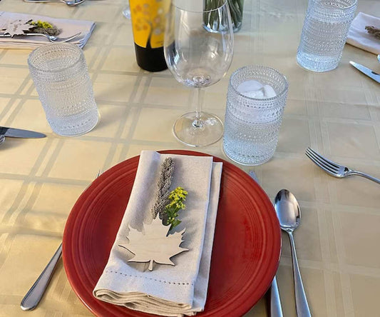 Hemstitched Cloth Napkins - 22 inch