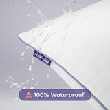Waterproof & Stain-Resistant Hotel Pillow (2-Pack)