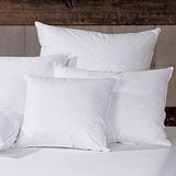 Feather & Down Pillow Insert
