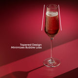 Layla Champagne Glasses, 6.5 oz