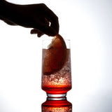 Sidney Highball Glasses, 16 oz