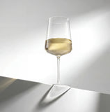 Sidney White Wine Glasses, 17 oz
