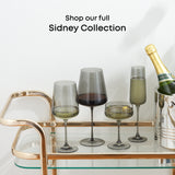 Sidney 16-Piece Smoke Stemware Entertaining Set