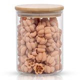 Glass Storage Jars with Airtight Lids Set