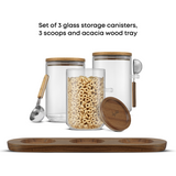 Holden 11-Piece Stackable Glass Storage Canister Gift Set