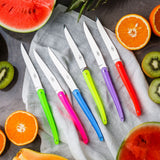 Jean-Michel Wilmotte Set of 6 Steak Knives Full Acrylic Handle