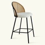 Jules 27.5" Modern Upholstered Rattan Counter Stool (Set of 4)