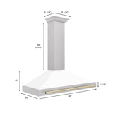 ZLINE 48" Autograph Stainless Wall Range Hood KB4SNZ-WM48-G