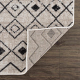 Joppatowne Washable Area Rug - Clearance