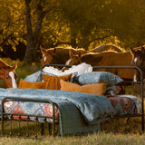 Lee Western Washed Denim Bedding Set