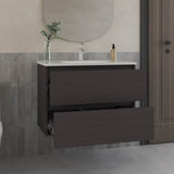 Opalo Wall-Mounted Floating Bathroom Cabinet Modern Design Featuring Ample Concealed Storage Space and Two Smooth Pull-Out Utility Drawers for Optimal Organization and Enhanced Utility