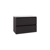 Opalo Wall-Mounted Floating Bathroom Cabinet Modern Design Featuring Ample Concealed Storage Space and Two Smooth Pull-Out Utility Drawers for Optimal Organization and Enhanced Utility