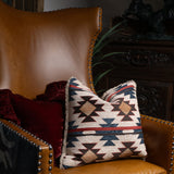 Mariella Chenille Teddy-Backed Pillow, 2 MOQ