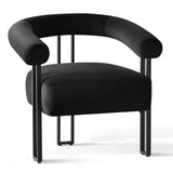 Mia Modern Velvet Accent Chair with Arms (1-Piece)