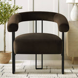 Mia Modern Velvet Accent Chair with Arms (1-Piece)