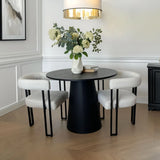 Mia Velvet Dining Chair with Arms (Set of 4)