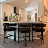Mia 24" Modern Velvet Counter Stool with Arms (Set of 2)